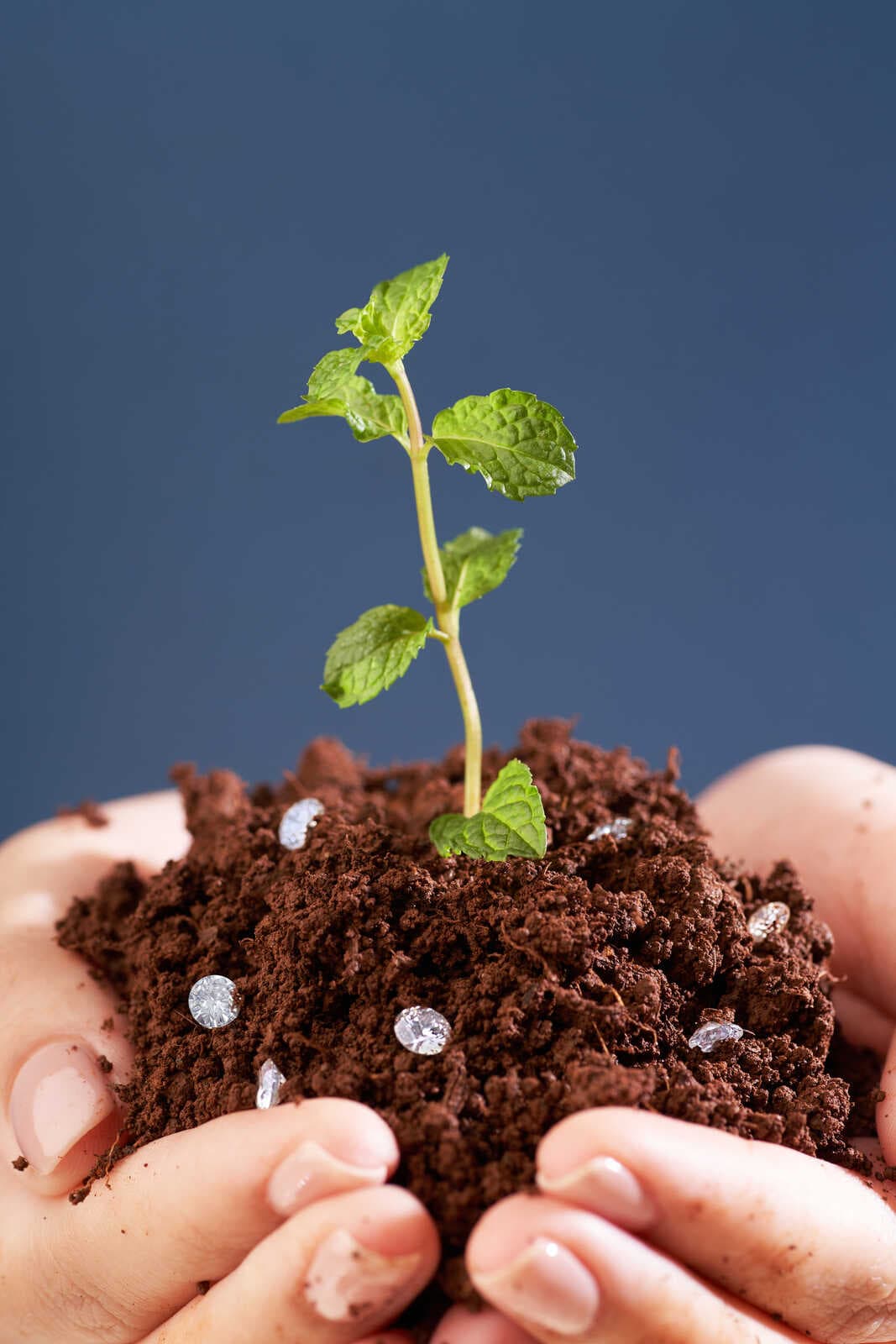 Sustainable luxury diamonds